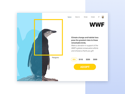 World Wildlife Fund concept