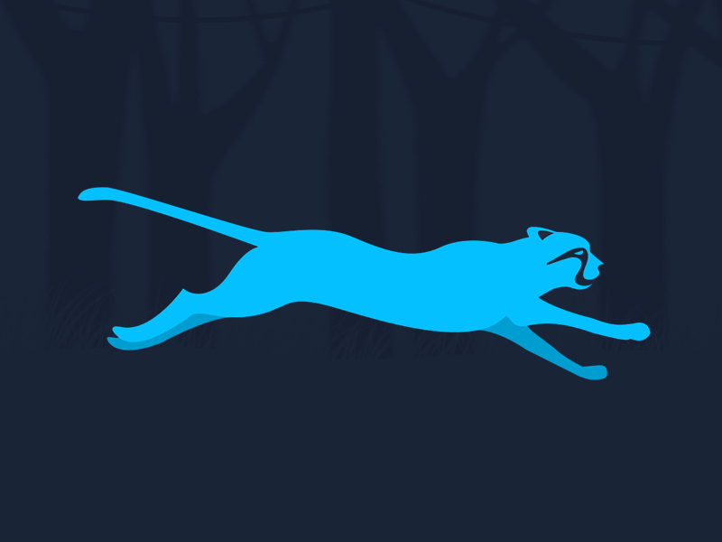 Running Panther animation creative fitness frame animation jungle loader panther photoshop animation photoshop key frame animation running running panther