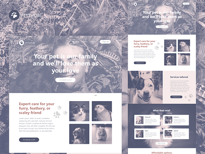 Pet Website Design