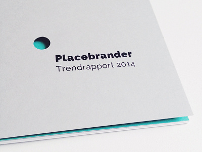 Placebrander Trend Report 2013 logo placebrander print
