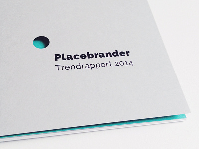 Placebrander Trend Report 2013