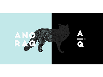 Anoraq Visual Identity