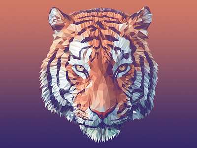 Low Poly Tiger illustration low poly tiger