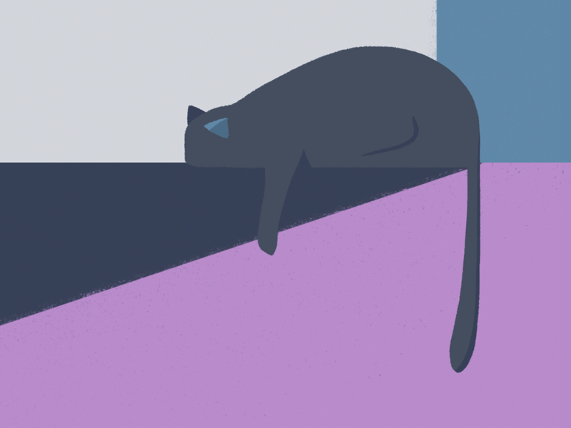 Cat animation cat chillin illustration sleeping