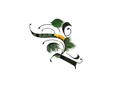 "Leaves" calligraphy johnnaked leaves lettering lettering art logo logo design ornament summer