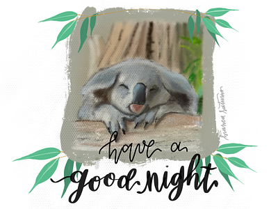 Have a Good Night digital illustration digital painting digitalart illustration ipad koala lettering procreate procreate art