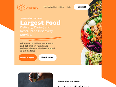 Landing Page Order-Now Food-App