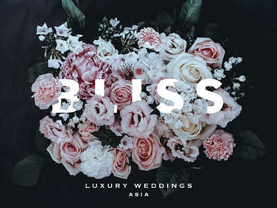 Bliss Branding branding bridal floral graphic logo luxury magazine visual design wedding
