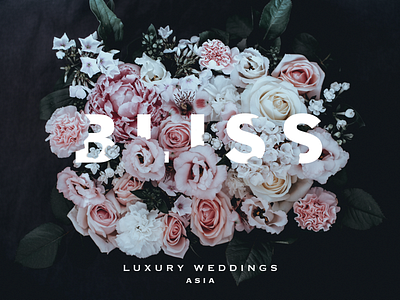 Bliss Branding