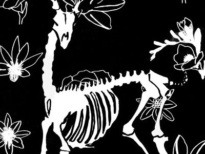 Occult Illustration animal black bones death deer floral flower illustration occult skull white