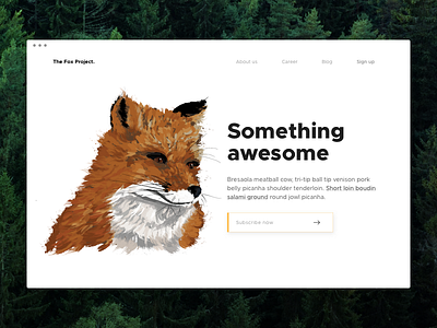 The Fox Project home page illustration landing page