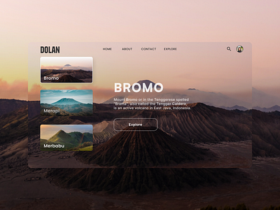 DOLAN - Adventure Website design ui ux