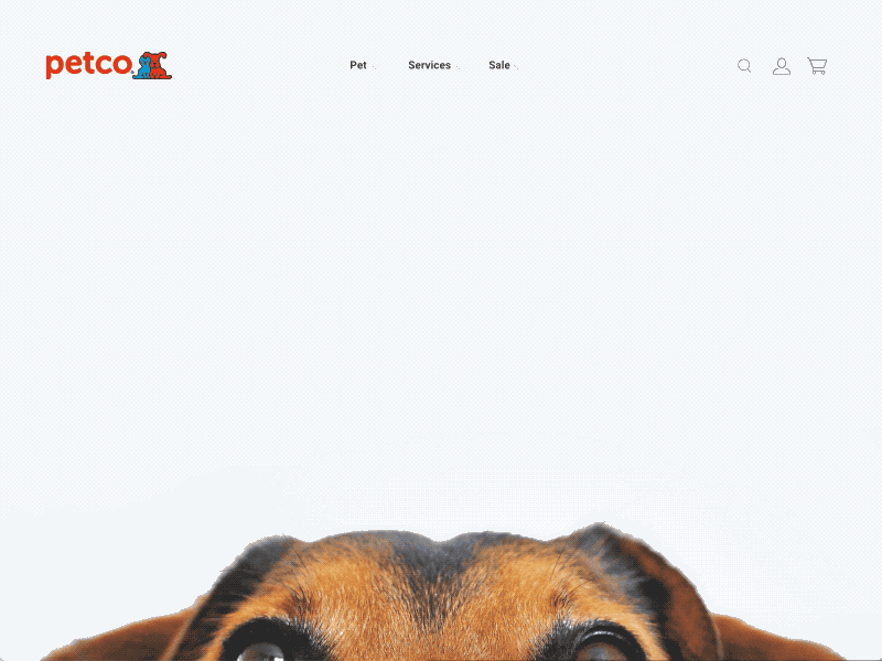 Petco Website Redesign Concept design redesign ui ux web design web development webpage