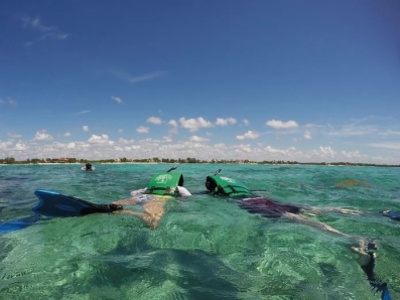 Snorkeling in Tulum by mexicokantours on Dribbble