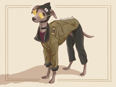 Dog in costume character
