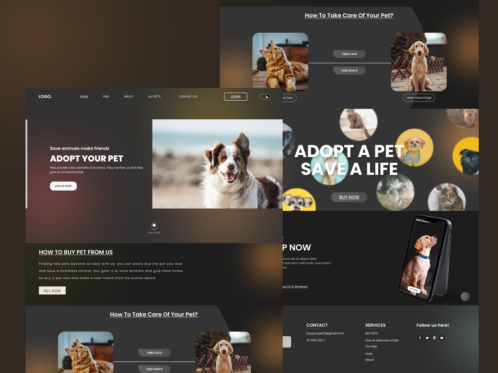 Adopt Your Pet Website Design by Muhammad Abdul Rauf on Dribbble