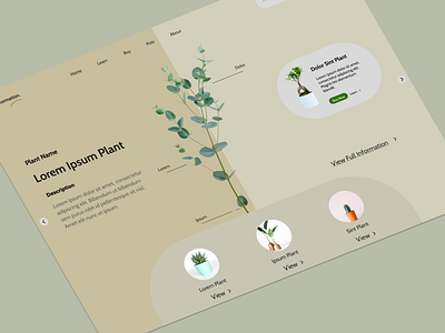 Plant Shop Website - Landing Page