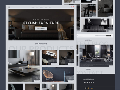 Furniture Web UI Design