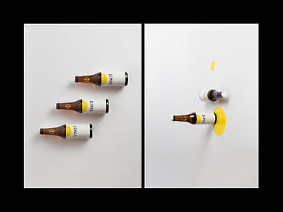 Vincit Beer - Special Edition brand brazil brazilian design digital graphic interface package packaging packaging design portfolio web
