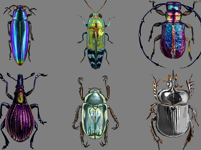 Цифровые жуки art digitalart illustration арт арт жуки артнасекомые графика графическая иллюстрация жук жуки насекомые насекомые арт реализм реалистичность рисунок рисунок жуков