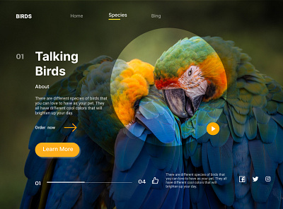 A web app for online shopping of birds design figma ui web design