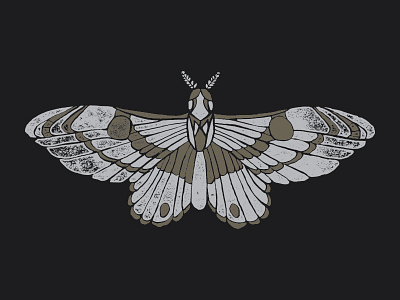 Welcome to Midnight, Moth apparel design design illustration moth