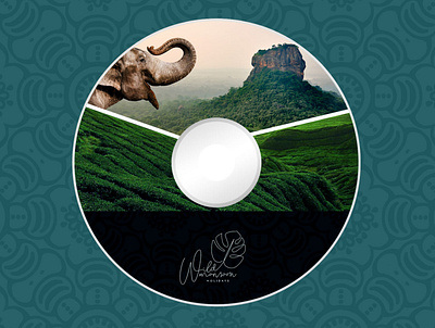 CD Sticker branding design graphic design logo vector