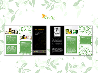 Pamphlet Design