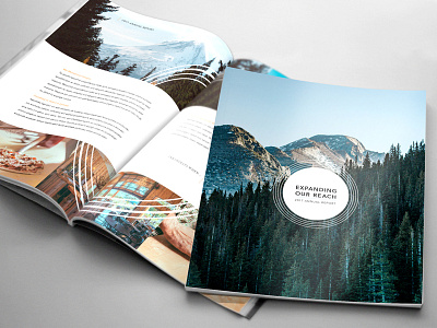 Annual Report Concept annual report book concept layout print