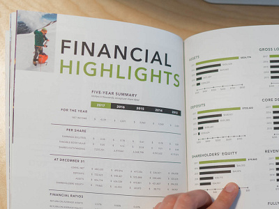 Annual Report Financial Highlights annual report print design typography