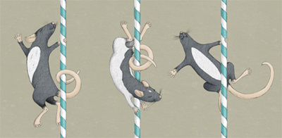 Pole Rats illustration