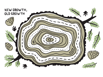 New Growth Old Growth handdrawn illustration