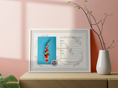 Botanical KOI Certificate branding design graphic design illustration vector