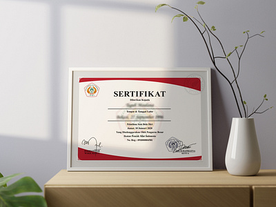 IPSI Martial Arts Certificate branding design graphic design illustration vector