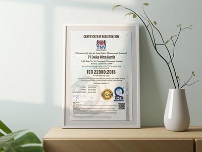 TNV Indonesia Certificate of Registration branding design graphic design illustration vector