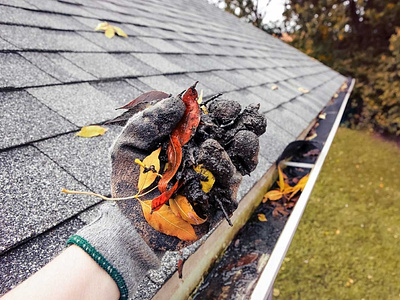 Gutter Repair and Cleaning Rochester NY
