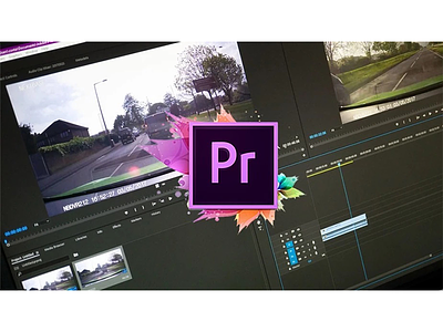 Adobe premiere pro remove object from video
