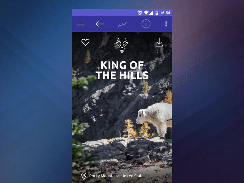 Unsplash App Design