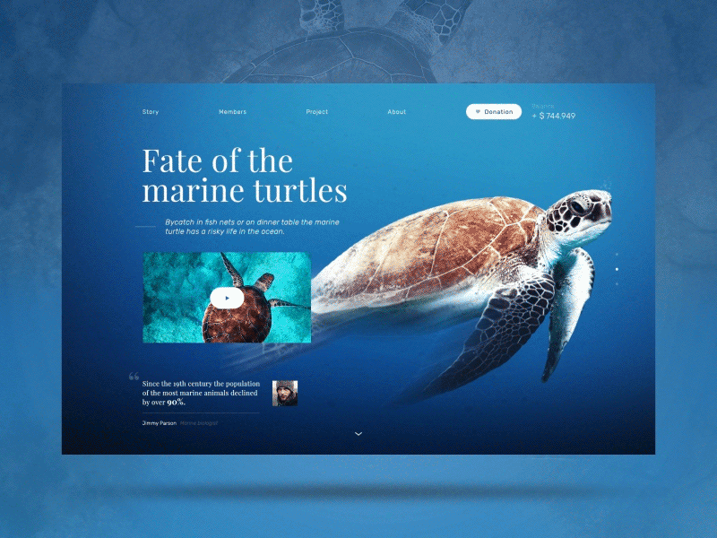 #3 Wildlife on a glimpse | Landingpage undersea 🐟🐳🐢 animation blue branding desktop environment landingpage mask motion ocean turtle undersea water website wildlife