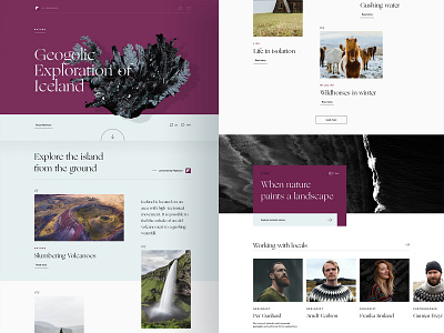 Icelandic Explorer 🇮🇸 | One Pager cologne desktop explorer hero iceland onepage purple scandic scroll storytelling typography