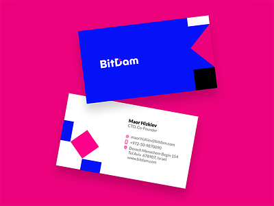 BitDam Bcards graphic design identity logo