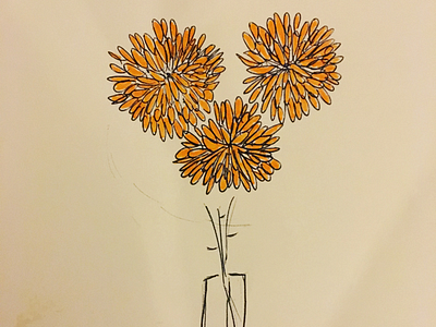 Chrysanthemum chrysanthemum drawing flowers illustration marker pen
