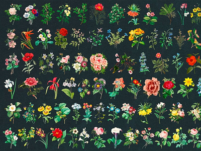 vintage floral background png