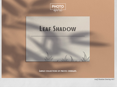 Leaf Shadow Overlays actions branch design effect effects image organic overlay overlays photo photoshop shadow shadows summer textures tree