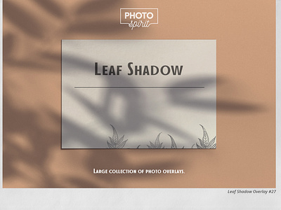 Leaf Shadow Overlays actions branch design effect effects image organic overlay overlays photo photoshop shadow shadows summer textures tree