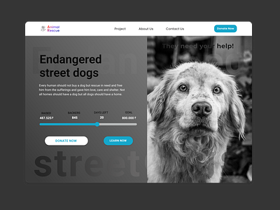 Daily UI #032 Crowdfunding Campaign animalrecue dailyui dailyui032 dailyuichallenge design figma streetdogs ui uidesign uidesigner uiux userexperience userinterface websitedesign