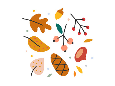 autumn leaves acorn autumn berry cone hand drawn illustration leaves oak orange red rowan vector yellow