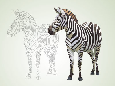 Zebra