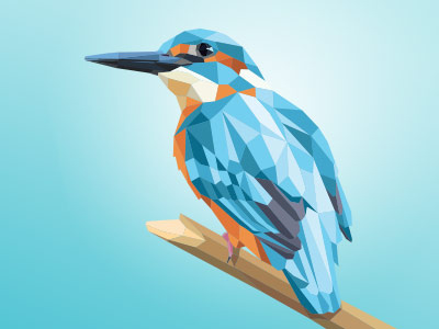 Polygonal Kingfisher animal bird kingfisher lowpoly polygon polygonal vector vectorillustration