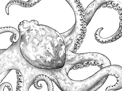Octopus blackwork dotwork hand drawn illustration octopus tattoo